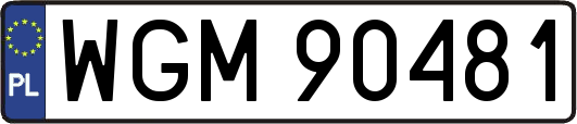 WGM90481
