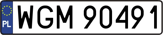 WGM90491