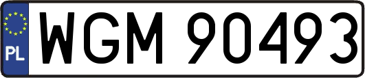 WGM90493