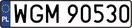 WGM90530