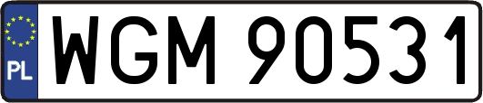 WGM90531