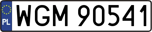 WGM90541