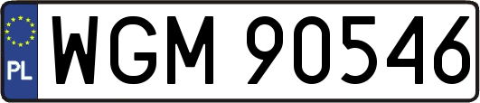 WGM90546