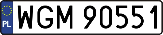 WGM90551