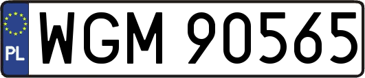 WGM90565