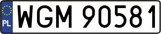 WGM90581