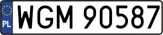 WGM90587