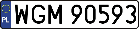 WGM90593