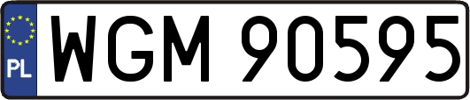 WGM90595