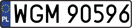 WGM90596