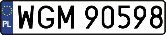 WGM90598