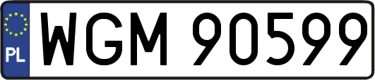 WGM90599