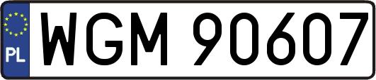 WGM90607