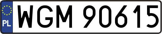 WGM90615