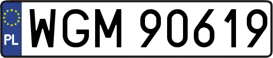 WGM90619