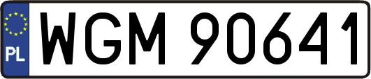WGM90641
