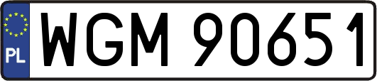 WGM90651