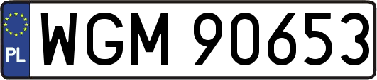 WGM90653