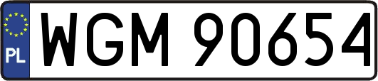 WGM90654