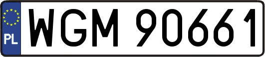 WGM90661