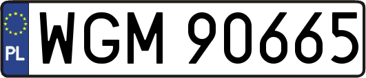 WGM90665