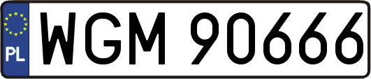 WGM90666