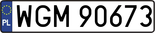 WGM90673