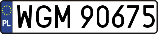WGM90675