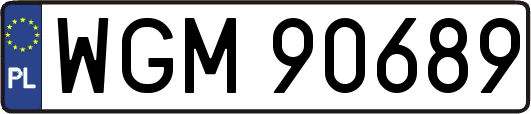 WGM90689