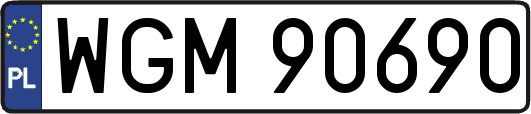WGM90690