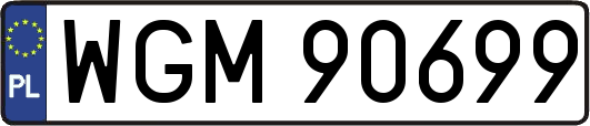 WGM90699