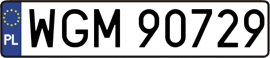 WGM90729