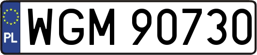 WGM90730