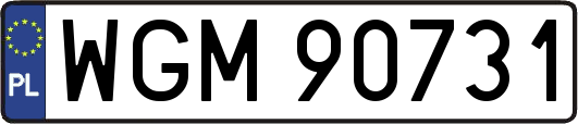 WGM90731