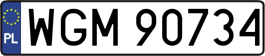 WGM90734