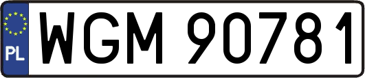 WGM90781