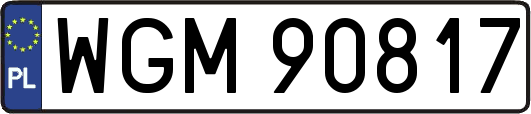 WGM90817