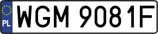 WGM9081F