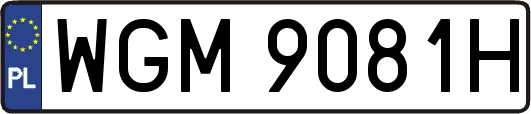 WGM9081H