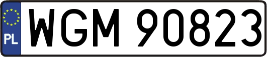 WGM90823