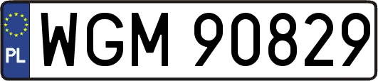 WGM90829