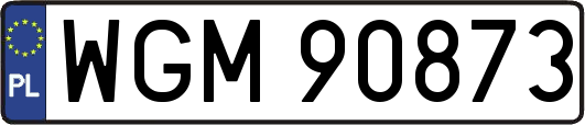 WGM90873