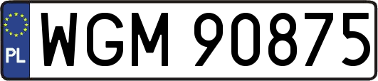 WGM90875