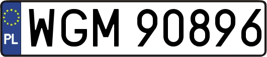 WGM90896