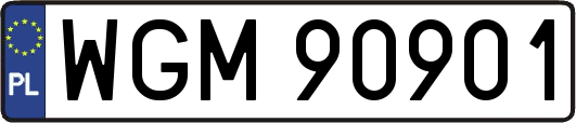 WGM90901