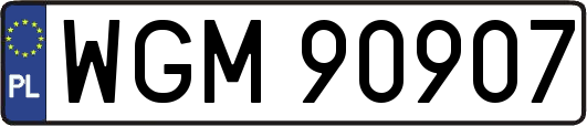 WGM90907