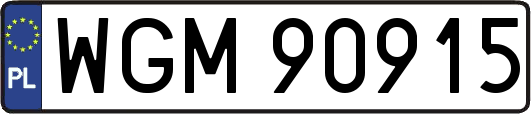 WGM90915