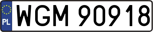 WGM90918