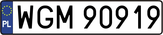 WGM90919