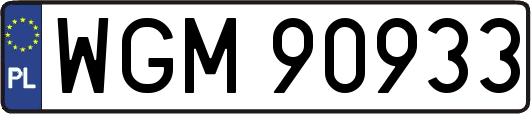 WGM90933